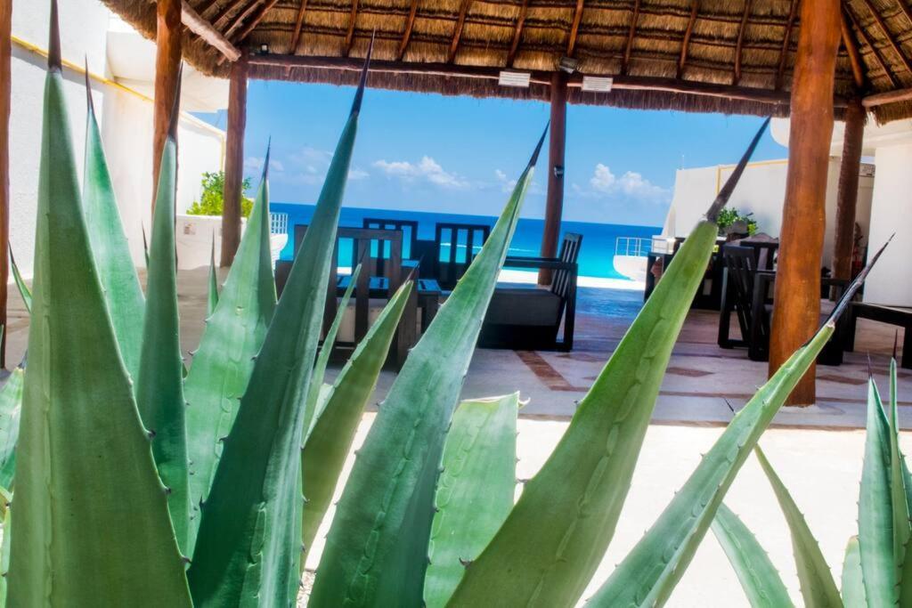 Cancun Marlin 32 Zewnętrze zdjęcie